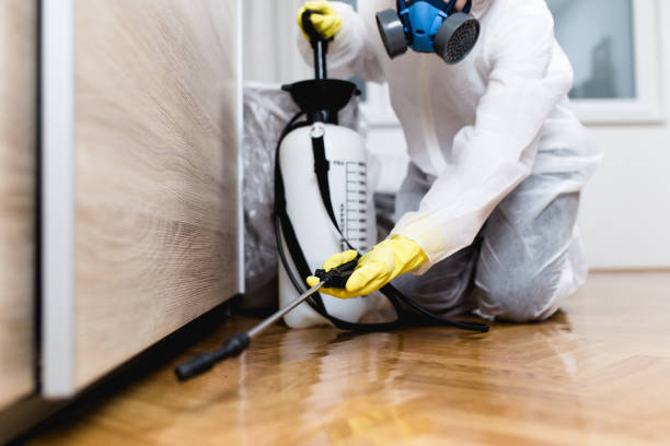 Best Emergency Pest Control  in Browns Lake, WI