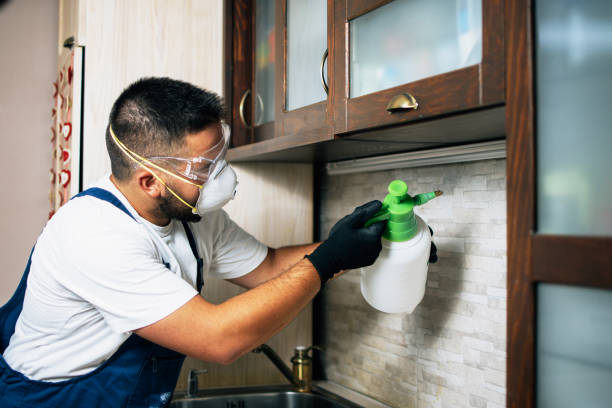 Best Pest Prevention Services  in Browns Lake, WI