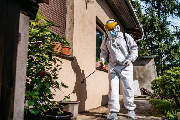 Best Cockroach Control Services  in Browns Lake, WI