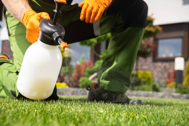 Best Bed Bug Extermination  in Browns Lake, WI