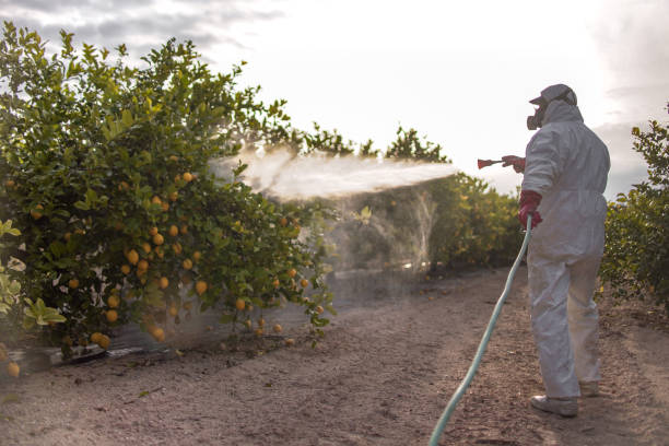 Best Affordable Pest Control Services  in Browns Lake, WI