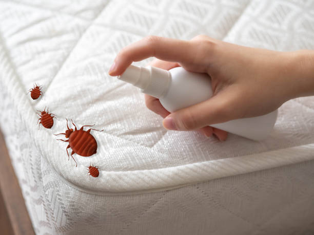 Best Pest Control Near Me  in Browns Lake, WI