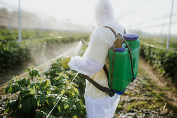 Best Exterminator Services  in Browns Lake, WI
